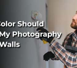 paint your studio walls
