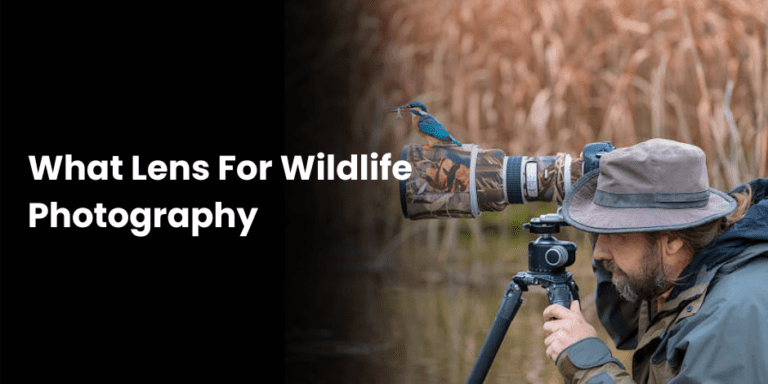 Copy of How I Can Achieve Best Post In Photography