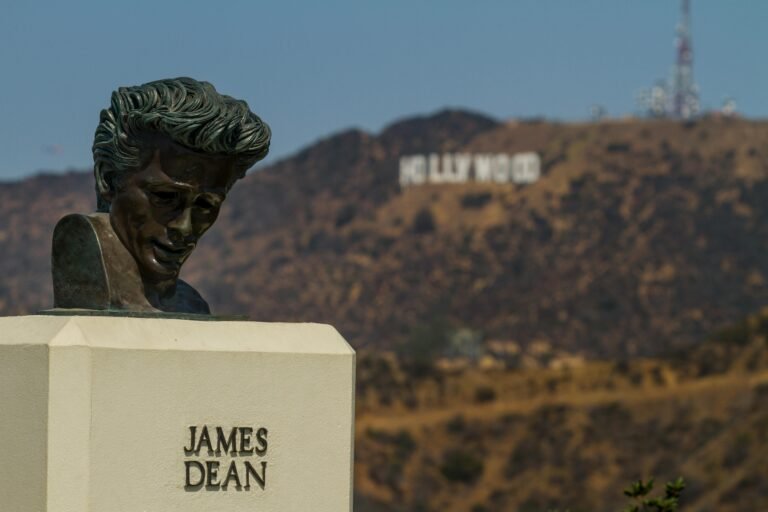 pexels-ramazphotos-32083784