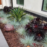 outside property greenry